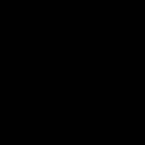 Meet your Posher, Braxton